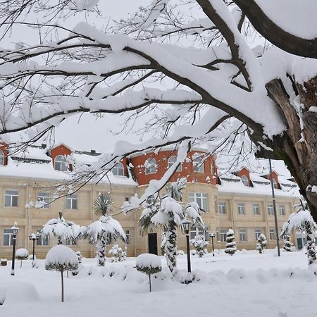 Vilesh Palace Hotel Masallı エクステリア 写真