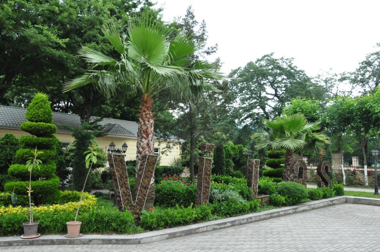 Vilesh Palace Hotel Masallı エクステリア 写真
