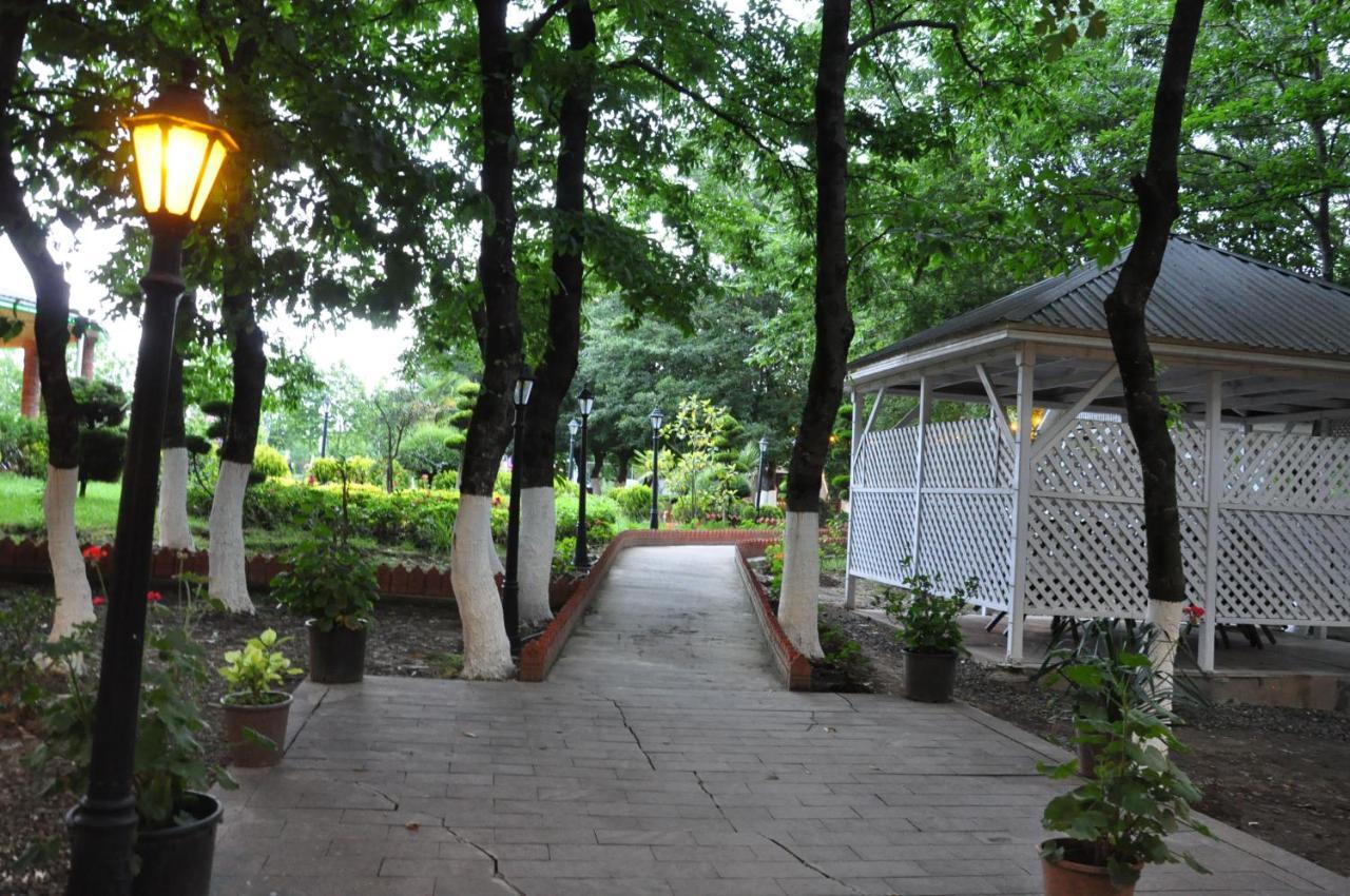 Vilesh Palace Hotel Masallı エクステリア 写真