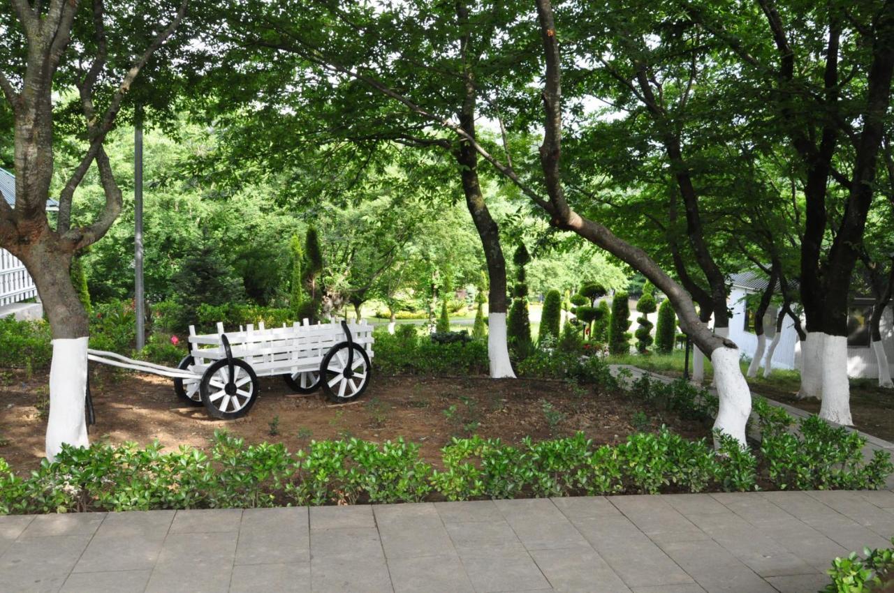 Vilesh Palace Hotel Masallı エクステリア 写真