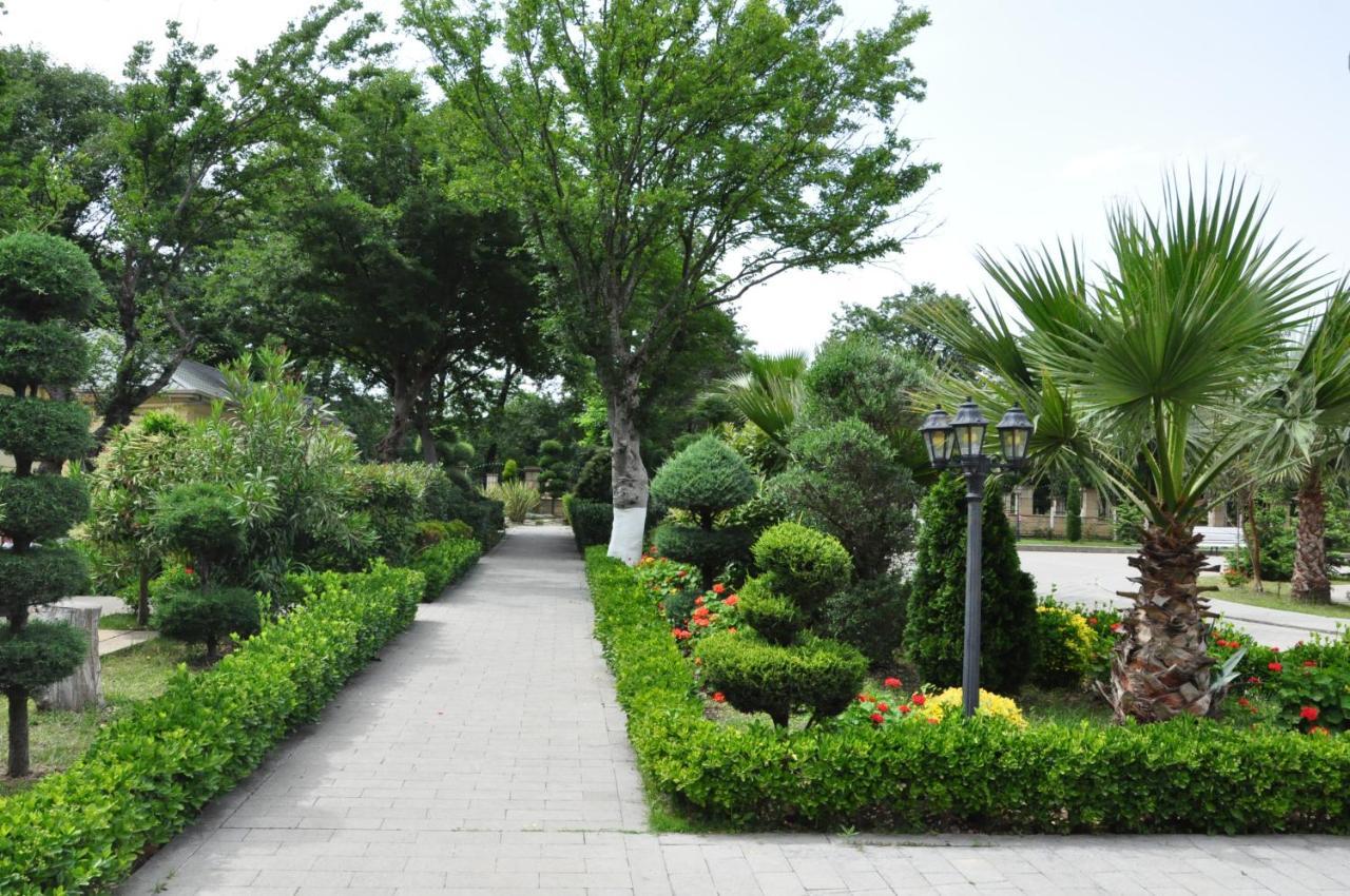 Vilesh Palace Hotel Masallı エクステリア 写真