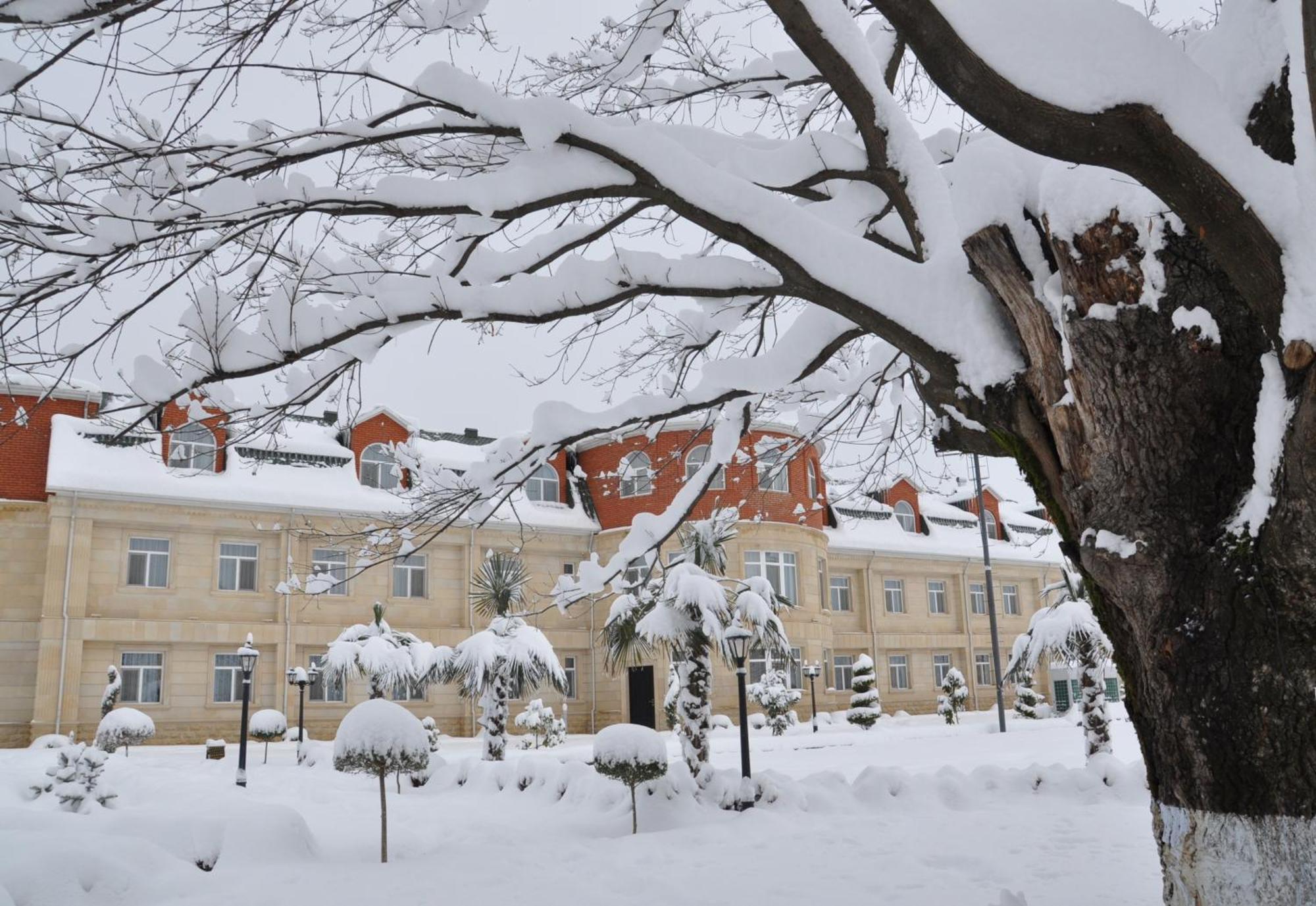 Vilesh Palace Hotel Masallı エクステリア 写真